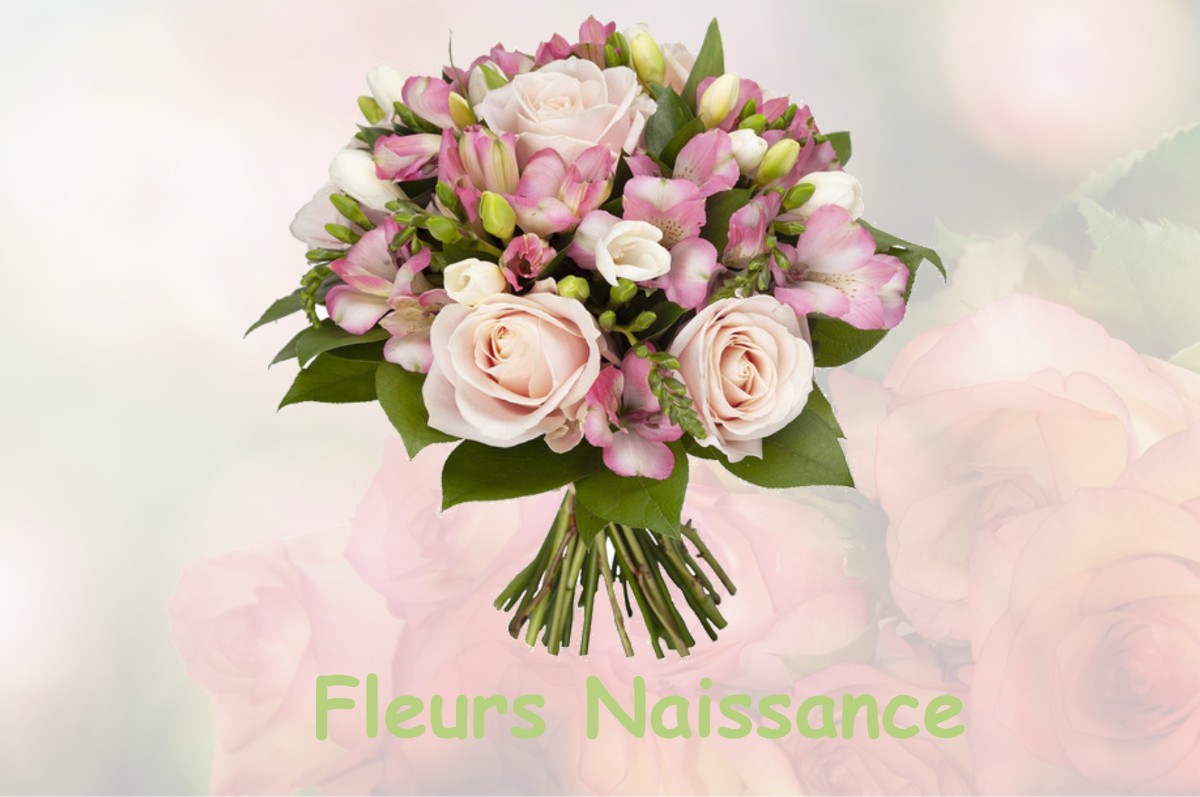 fleurs naissance AURONS