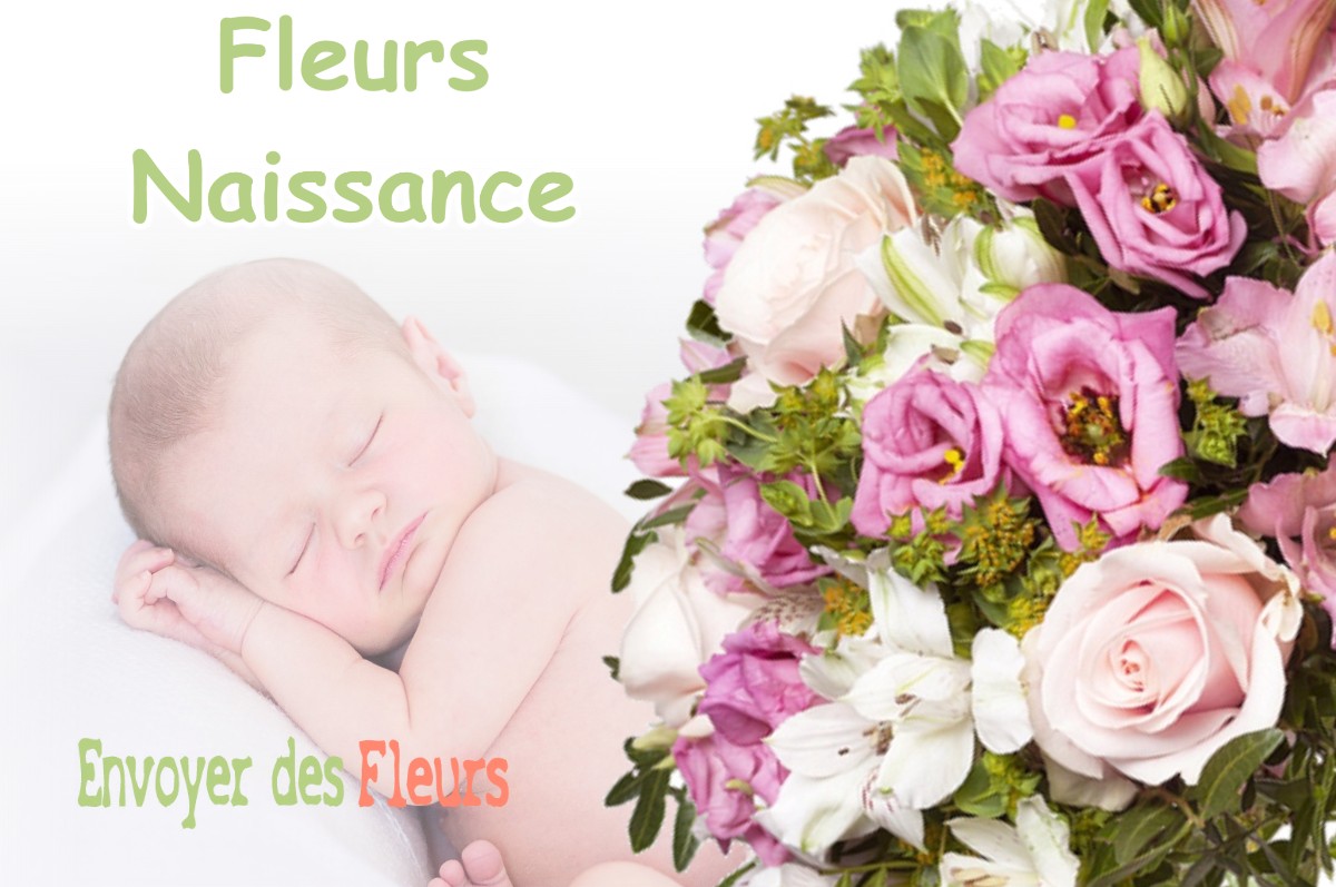 lIVRAISON FLEURS NAISSANCE à AURONS